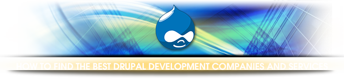 How to find the best Drupal development companies